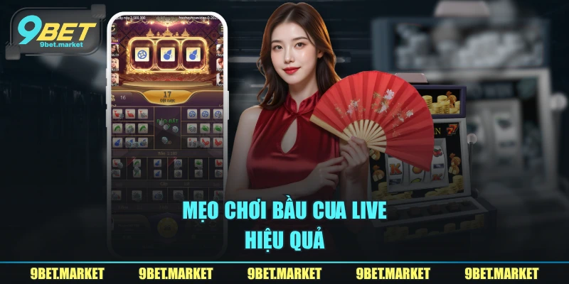 Mẹo chơi Bầu Cua live hiệu quả